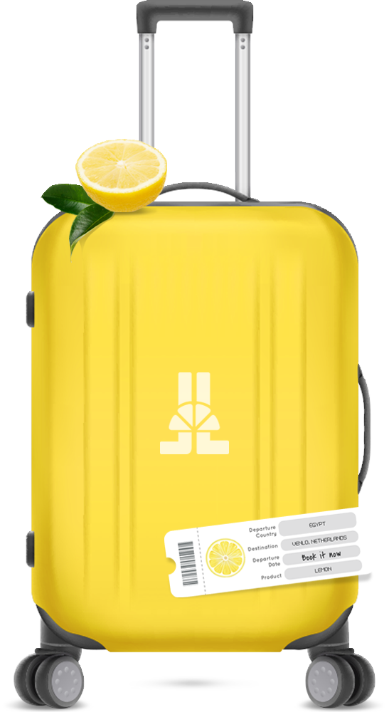 Lemon week's luggage