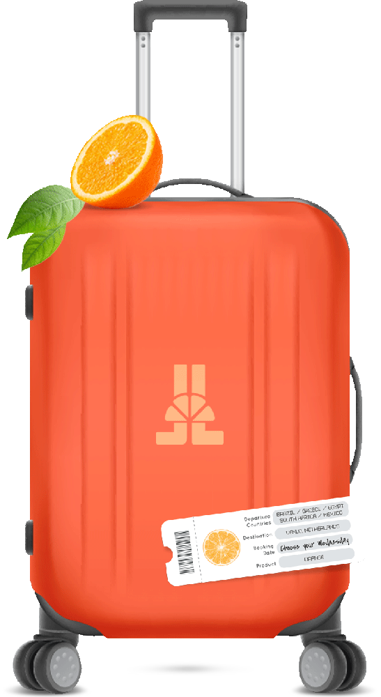 Fruit week: orange luggage