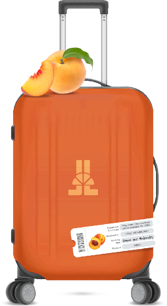 Fruit week: peach luggage