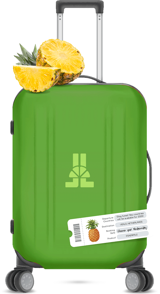 Pineapple week's luggage