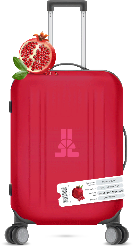 Fruit week: pomegranate luggage